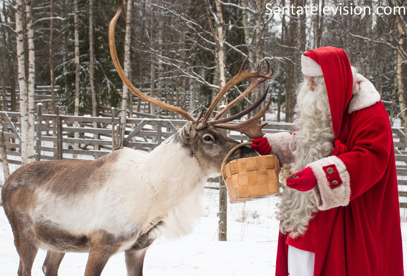 santa-claus-feeding-reindeer-rovaniemi-lapland-finland