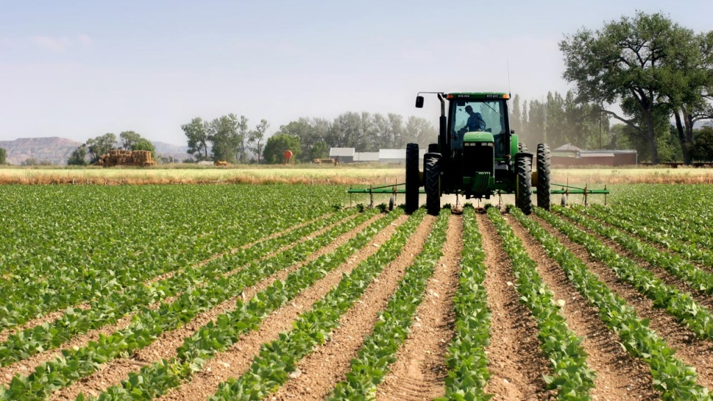 agriculture-1024x576
