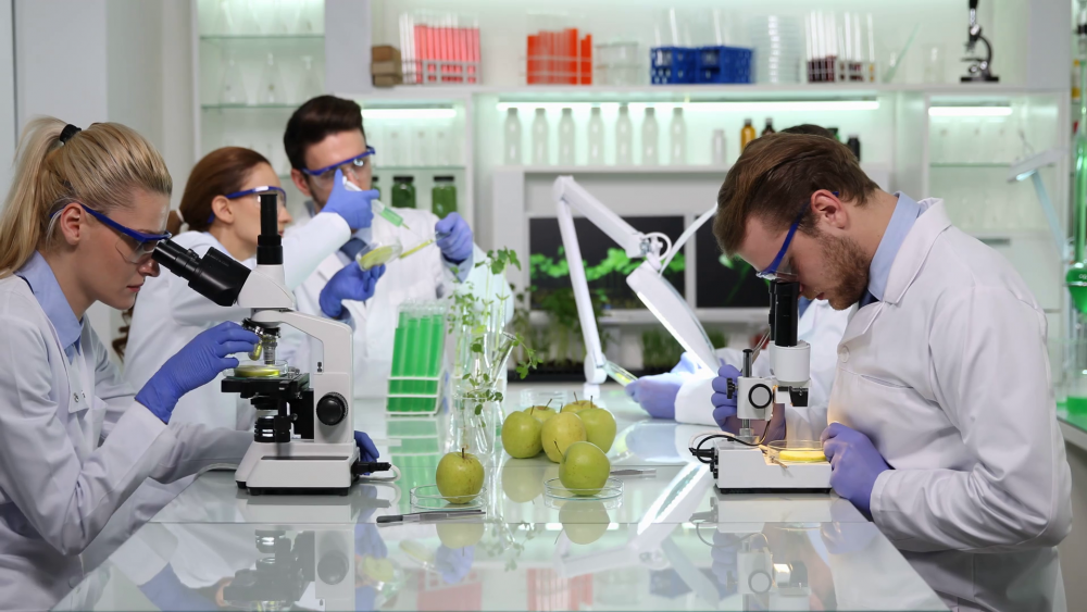videoblocks-researchers-examining-on-microscope-genetically-modified-food-apple-fruits-lab_rmqsxyznx_thumbnail-full11