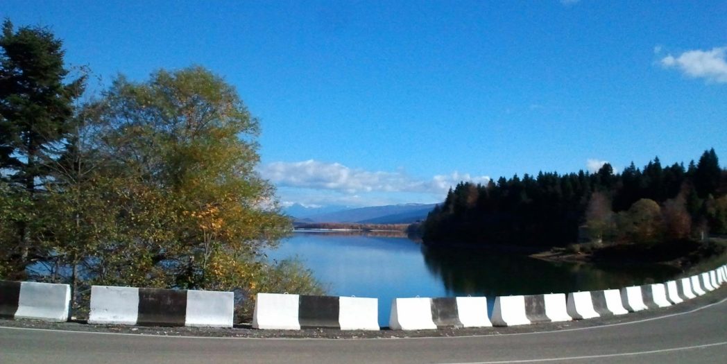 17521682-932217000253637-1730801073-o 17521682-932217000253637-1730801073-o