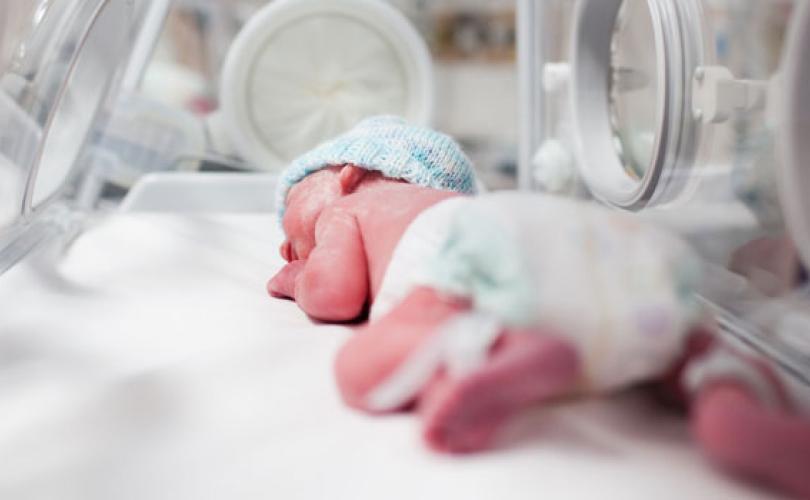 baby-incubator-810-500-75-s-c1