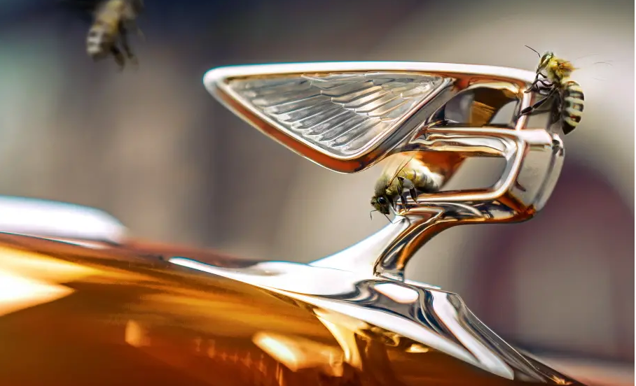  Bentley თაფლის წარმოებას იწყებს