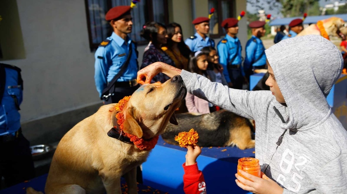 Nepal police officer worship police dogs applying vermillion power and flower during the “Kukur Tihar” or Dog worship day on the second day of Tihar Festival at the Center Police Dog Training School in Kathmandu, Nepal on October 16, 2017. Dogs are worshipped to acknowledge their role in providing security during Tihar festival, one of the most important Hindu festivals that is also dedicated to the worship of the goddess of wealth Laxmi. (Photo by Sunil Pradhan/NurPhoto)