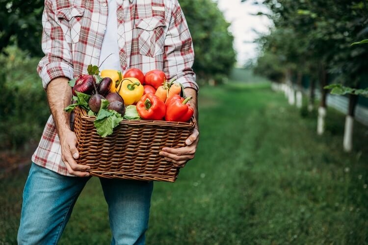 Farmer-holding-basket-with-vegetables-new