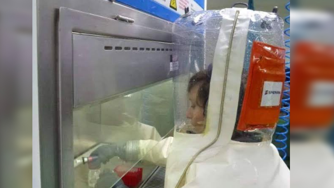 lela-urushadze-newssss