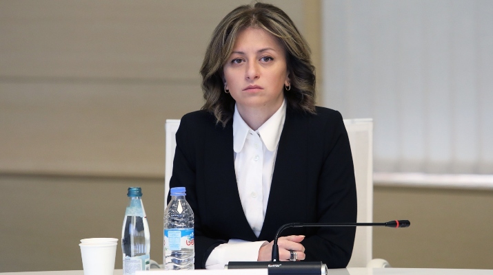 არ ვიძლევით არანაირ პირობას, რომ 22 მაისს სრულად მოიხსნება ყველა შეზღუდვა: ტიკარაძე