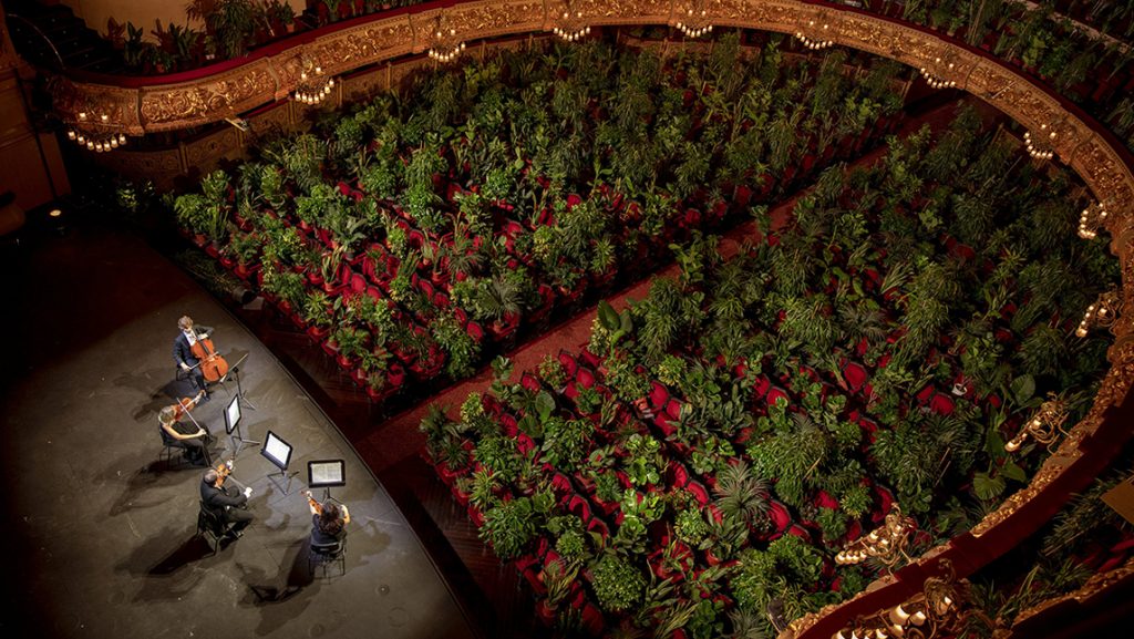 ვიდეო: ბარსელონას ოპერა საზეიმოდ გაიხსნა და პირველ წარმოდგენას ხალხის ნაცვლად 3 000 მცენარე დაესწრო