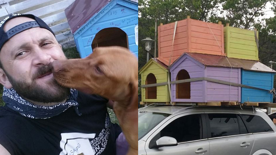 dogshouse