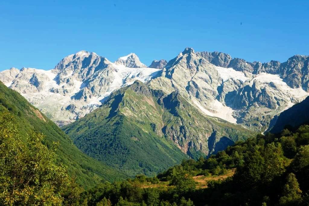 თუ ნამდვილი, ველური ბუნებით ტკბობა გსურთ, სწორედ გონას უნდა ესტუმროთ – პატარა შვეიცარია რაჭაში