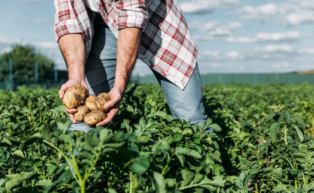 ვინ შეძლებს გერმანიაში დასაქმებას, რა პროცედურაა საჭირო, ვინ უზრუნველყოფს კვებისა და საცხოვრებლის ხარჯებს – პასუხები აქტუალურ კითხვებზე