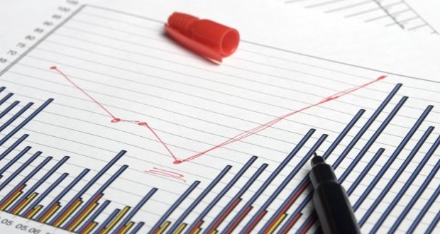 მსხვილი ზომის კომპანიების წლიური ზრდა 10%-ია – Bia.ge