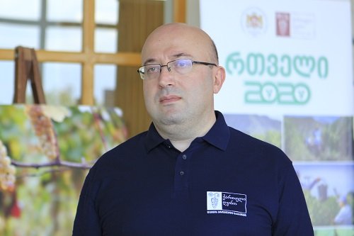 რთველი 2021-ის ფარგლებში, ყურძნის ხარისხზე კონტროლი გამკაცრდება – რა ცვლილებებს ახორციელებს ღვინის ეროვნული სააგენტო