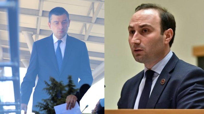 მერყევი ადამიანის ადგილი პოლიტიკაში არ არის – ოხანაშვილი გახარიაზე