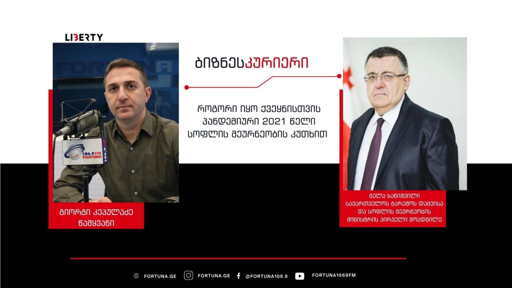ბუნებრივია, თოხით და კავით ვერ განვვითარდებით – როგორი იყო პანდემიური 2021 წელი სოფლის მეურნეობაში / “ბიზნესკურიერის” პოდკასტი