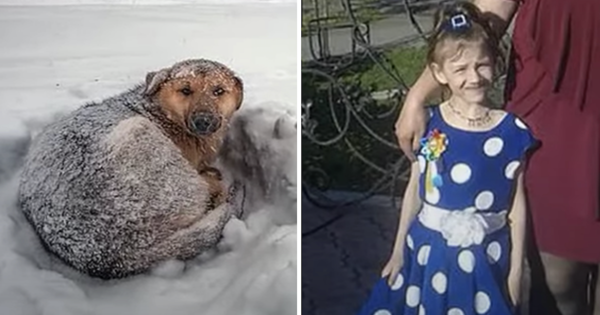 Dog-keeps-missing-girl-warm-Featured