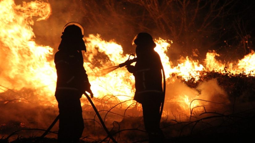იზრდება ტყისა და მინდვრის ხანძრების რისკი – საგანგებო სიტუაციების მართვის სამსახური მოსახლეობას აფრთხილებს