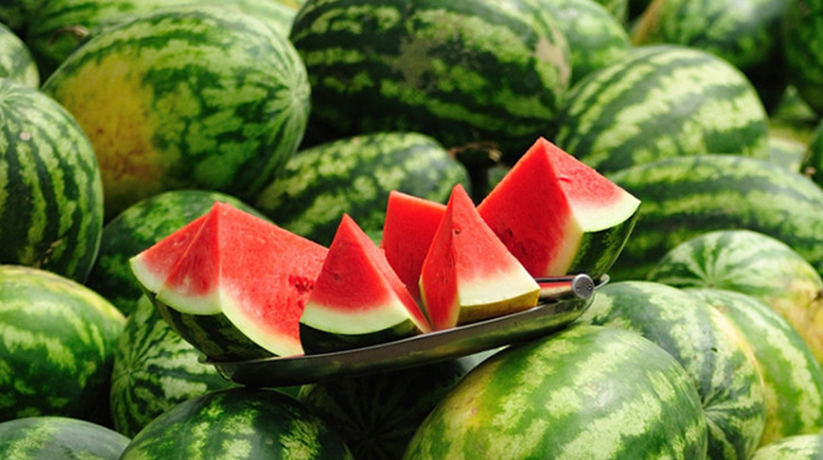 საზამთრო