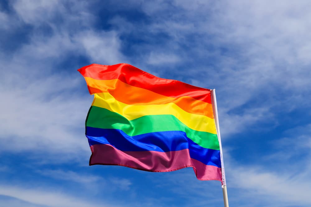 LGBTQ_flag