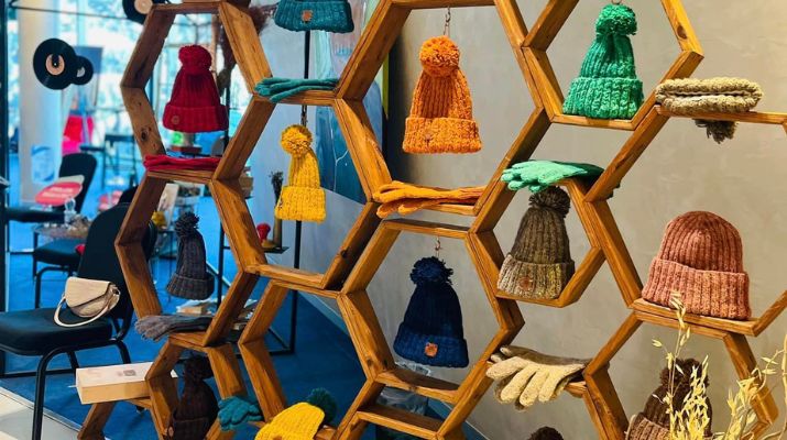 სოციალური საწარმო, რომელიც „კათარზისში“ მცხოვრებ ბებიებს ასაქმებს / “ბიზნესკურიერის” პოდკასტი