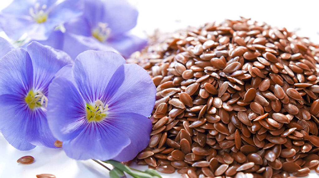 მცენარეთა სამყარო ჩვენი ჯანმრთელობის სადარაჯოზე