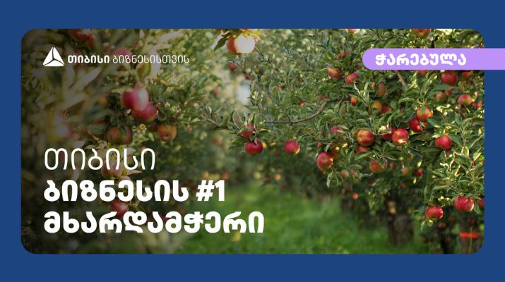 თიბისისთან პარტნიორობით კომპანია „ჭარებულამ“ გორის რაიონში ინტენსიური ვაშლის ბაღები გააშენა