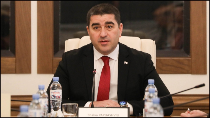 პაპუაშვილი: დიდმა დეზინფორმაციულმა კამპანიამ, რომელიც, რაც არ უნდა ირონიული იყოს, მომდინარეობდა არა ჩრდილოეთიდან, არამედ – დასავლეთიდან, მსოფლიო დონეზე შელახა საქართველოს რეპუტაცია