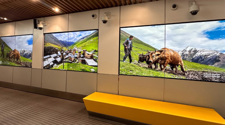 ტორონტოს საერთაშორისო აეროპორტში საქართველოს შესახებ ფოტოები განთავსდა