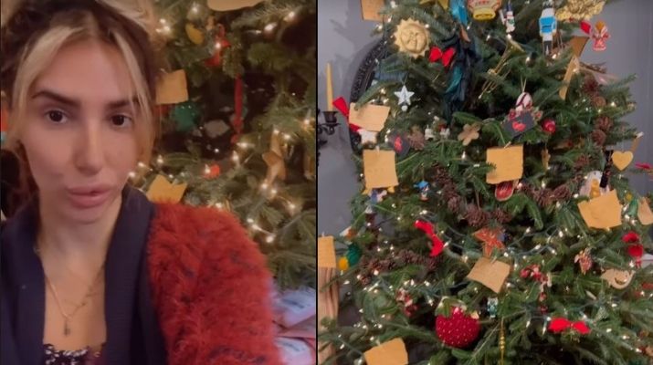 „ასეთი გამოვიდა ჩვენი ნაძვის ხე.. ჩამოვკიდე ის ფრაზები რაც მიყვარს“ – როგორ მორთო ნუკი კოშკელიშვილმა ნაძვის ხე