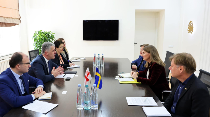 ოთარ შამუგია შვედეთის სამეფოს საგანგებო და სრულუფლებიან ელჩს შეხვდა