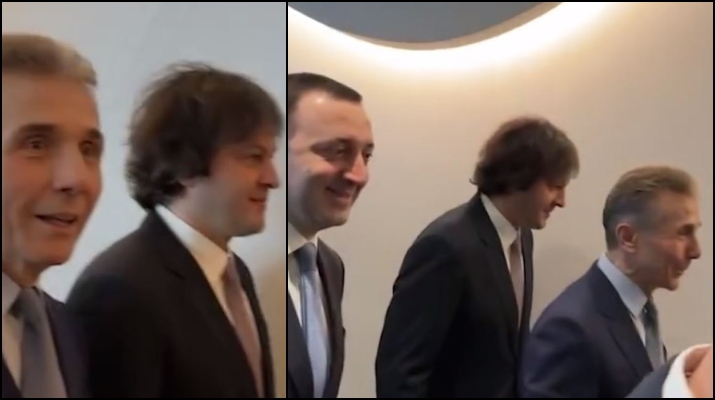 ვიდეო – ივანიშვილი ღარიბაშვილზე: „რა უნდა დავიწუნო, ნახეთ როგორი კაცია, კაცო“