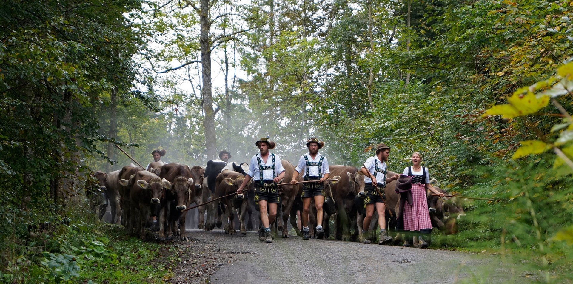 bavaria-viehscheid5