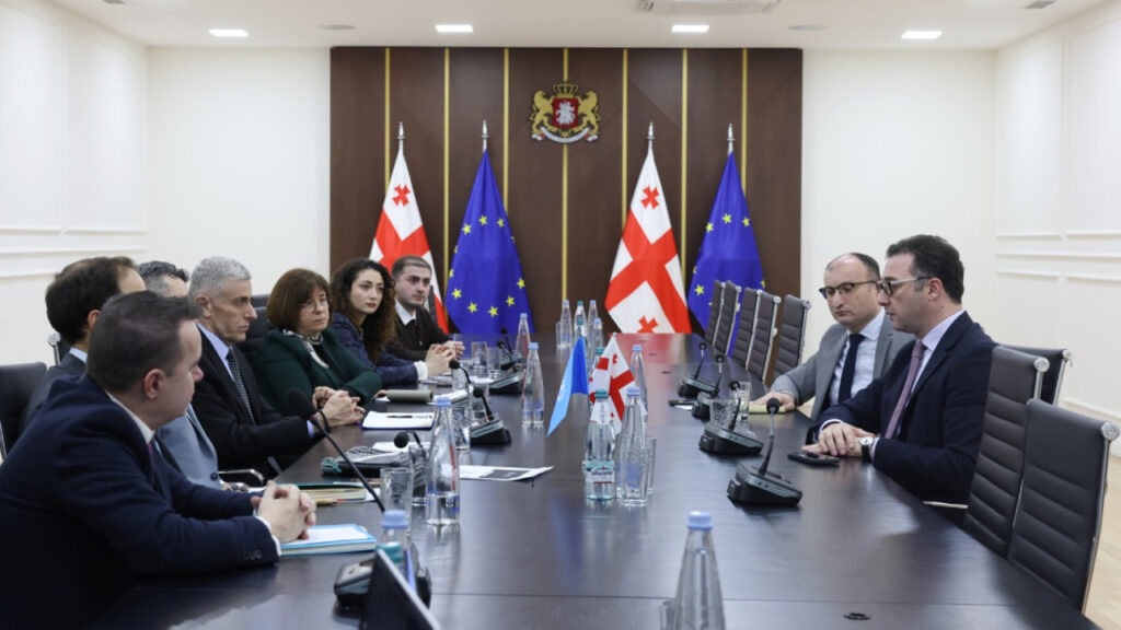 დავით სონღულაშვილი საქართველოში გაეროს სურსათისა და სოფლის მეურნეობის ორგანიზაციის  წარმომადგენელს შეხვდა