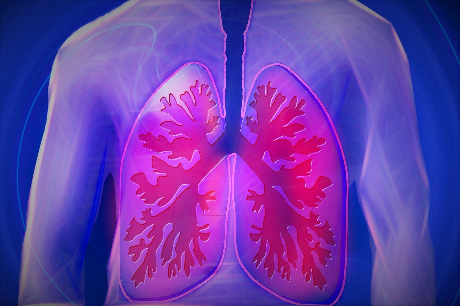 lung-1