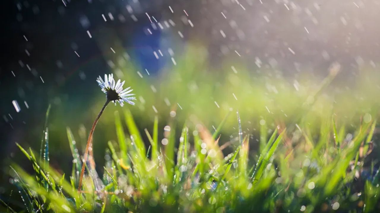 ამინდის პროგნოზი