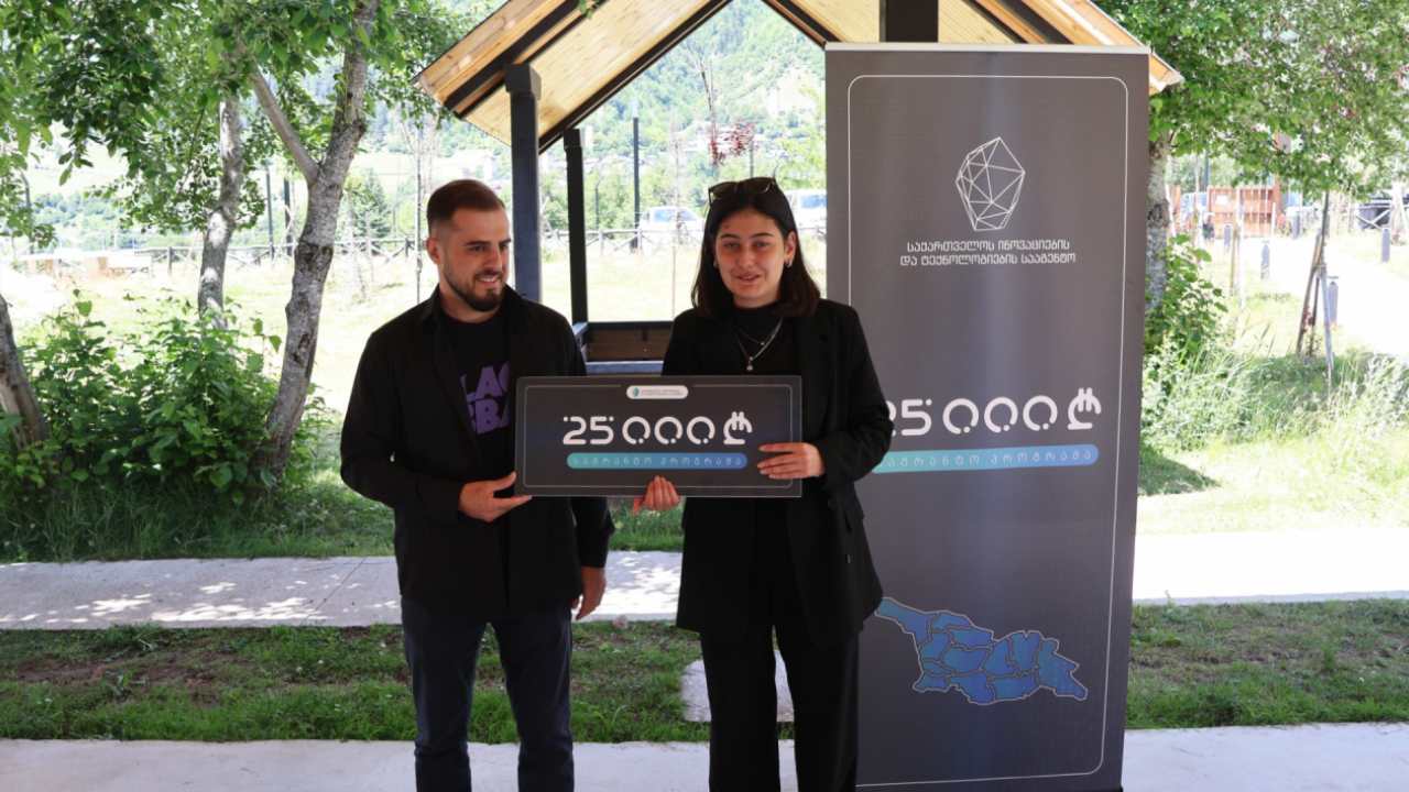 საგრანტო პროგრამა