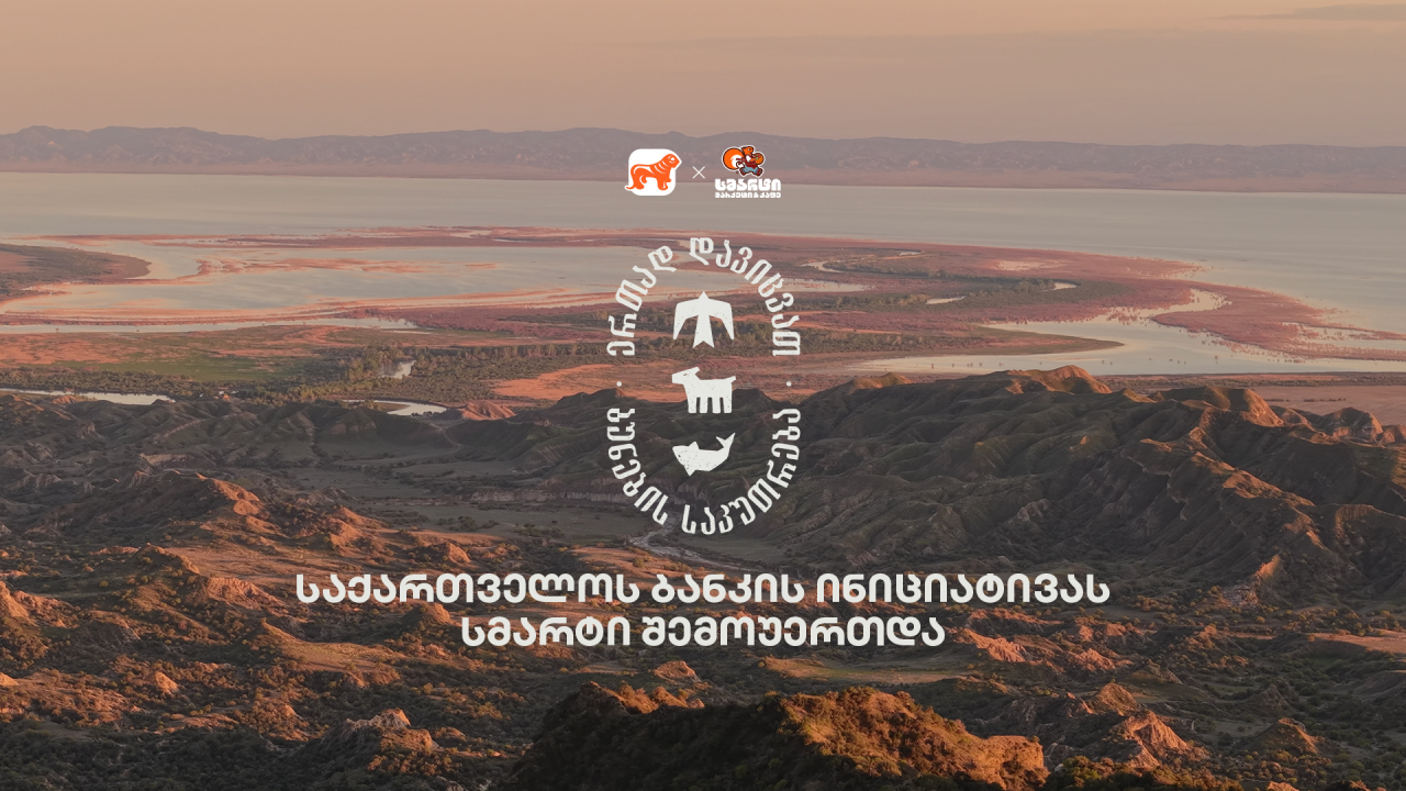 საქართველოს ბანკი