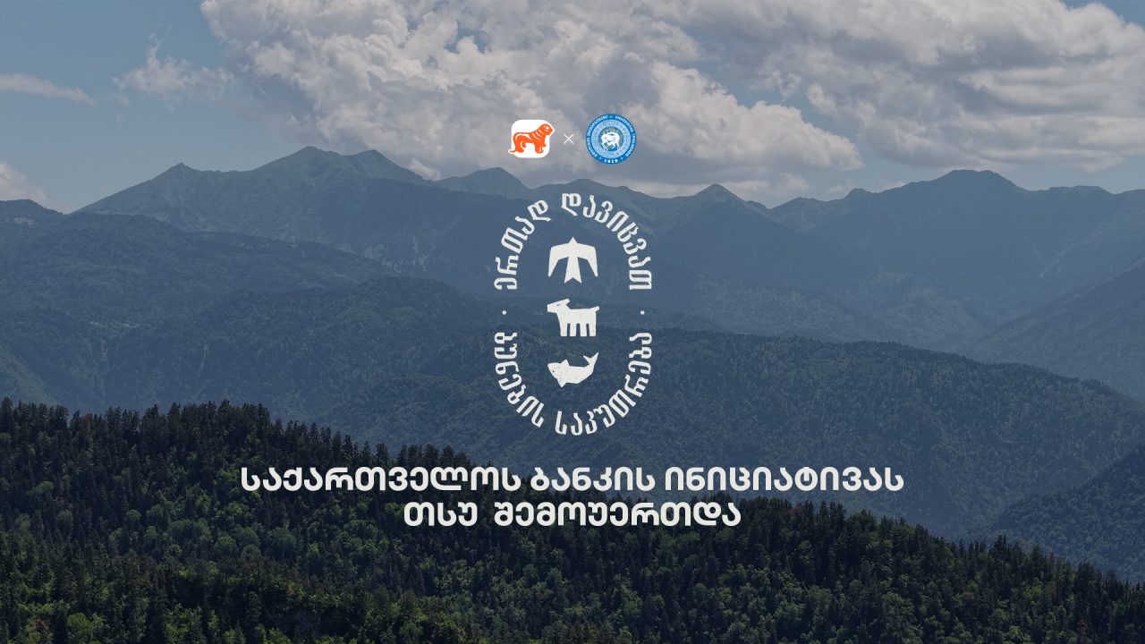 საქართველოს ბანკი