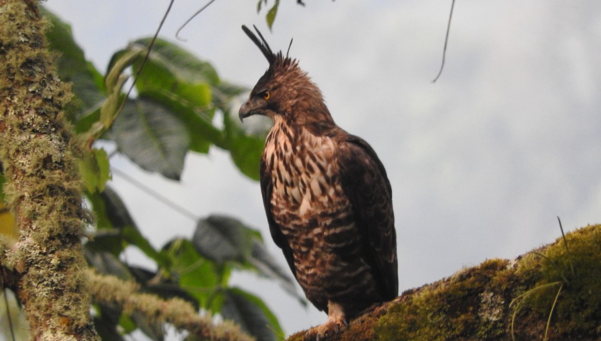 Screenshot 2025-09-05 105356