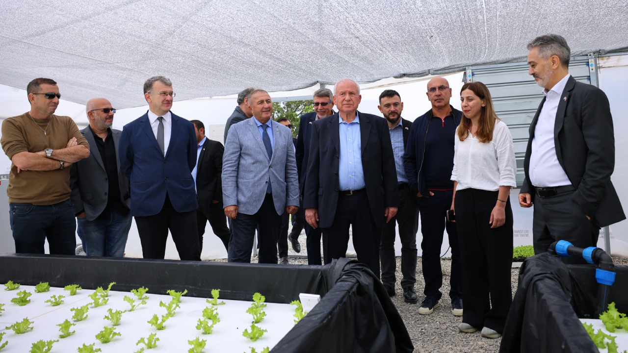 წილკანი