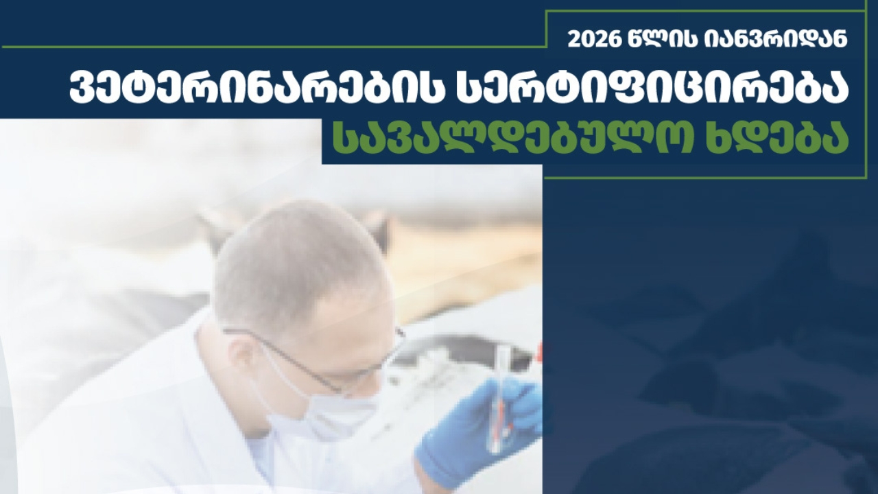 2️026 წლის პირველი იანვრიდან ვეტერინარების სერტიფიცირება სავალდებულო ხდება 2️026 წლის პირველი იანვრიდან ვეტერინარების სერტიფიცირება სავალდებულო ხდება