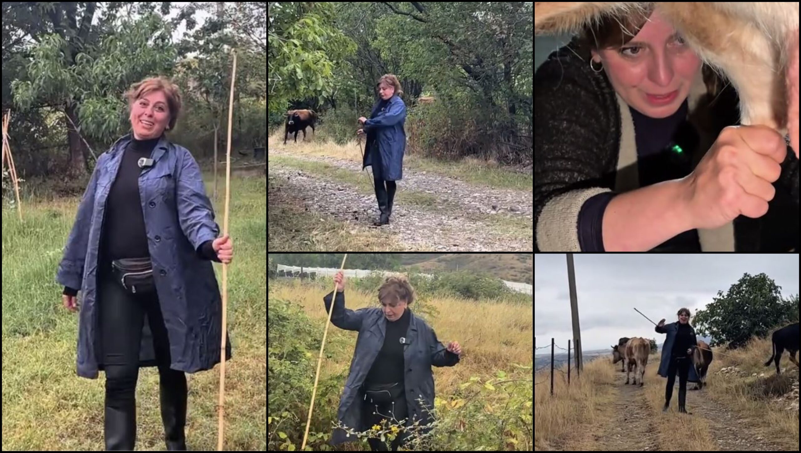 მამუკა მდინარაძე (1)