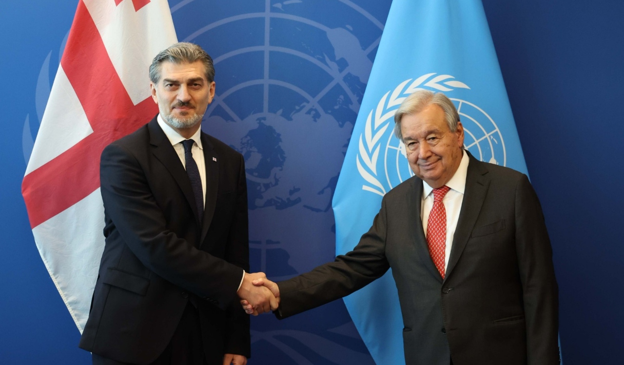 მიხეილ ყაველაშვილი, ანტონიო გუტერეში