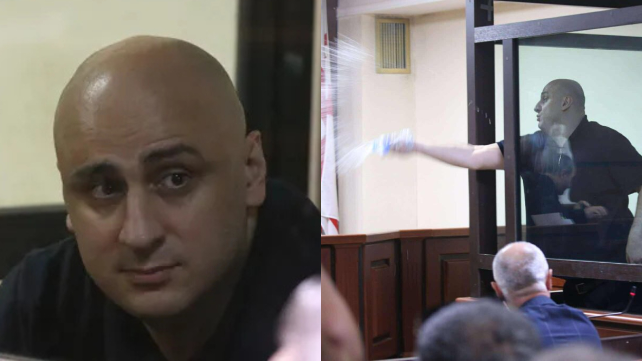 ნიკა მელია