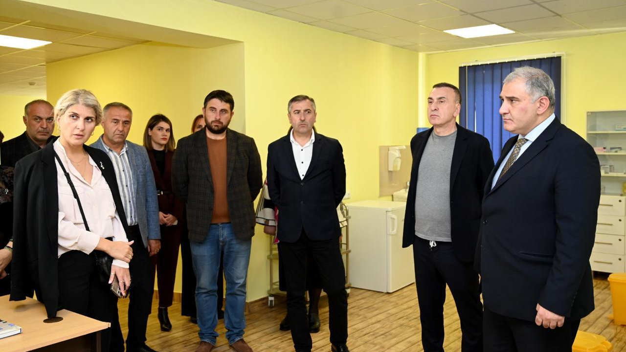 მიხეილ სარჯველაძე