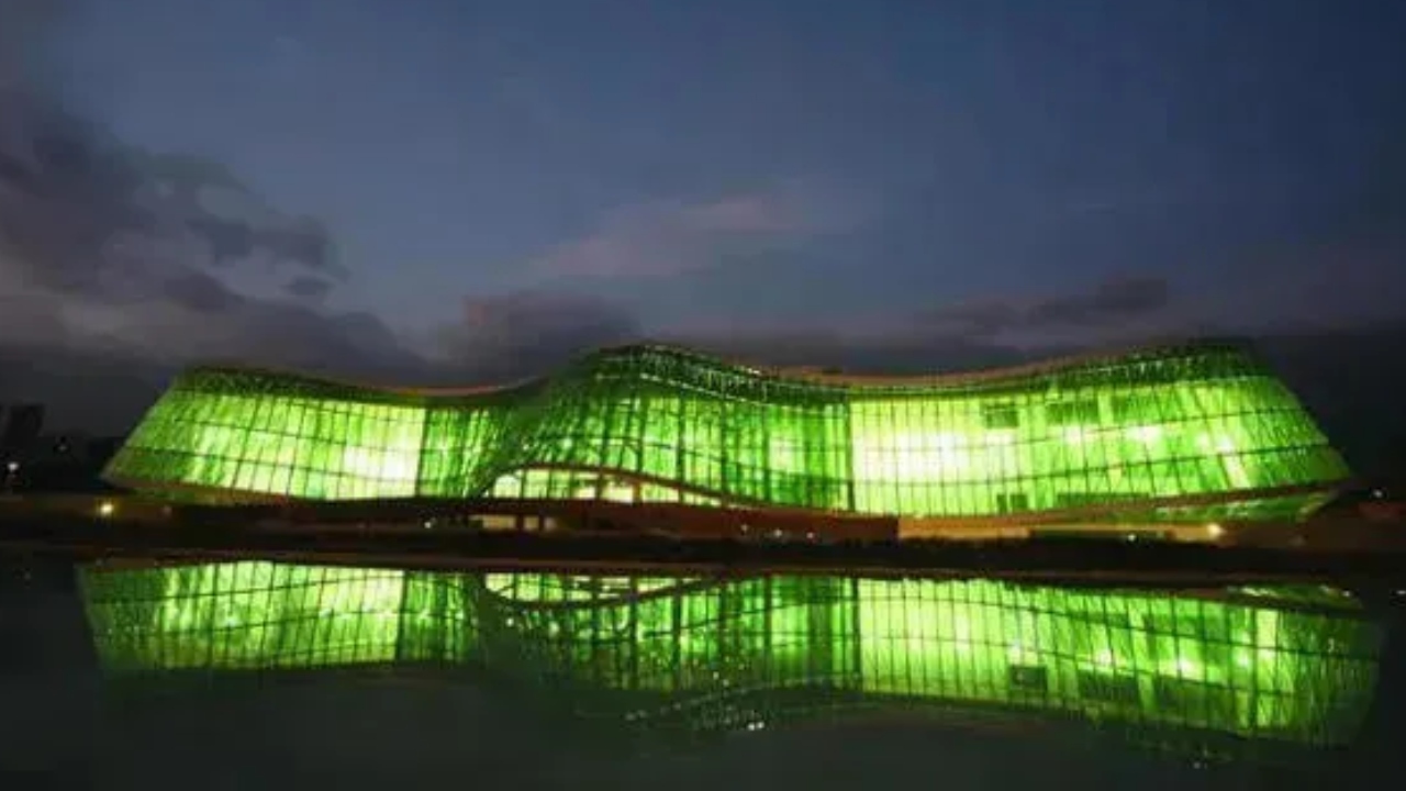 BeFunky-collage - 2025-10-03T231851.689