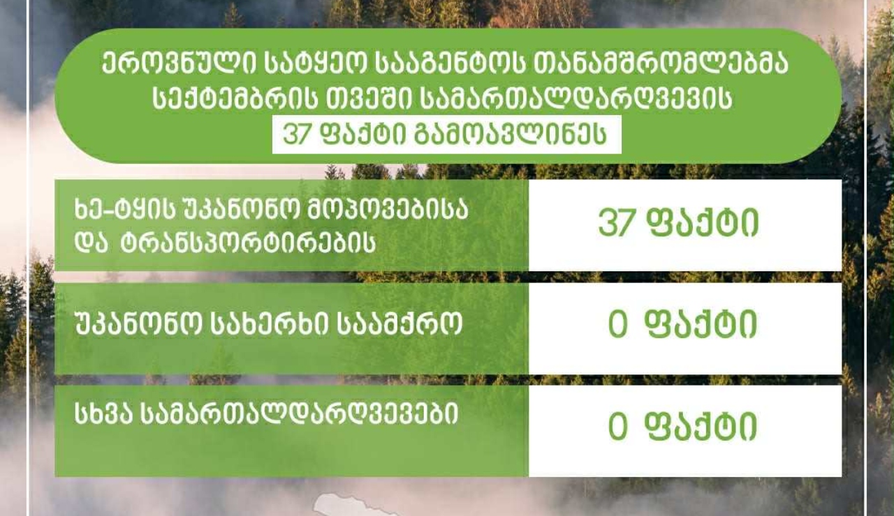 ეროვნული სატყეო სააგენტო