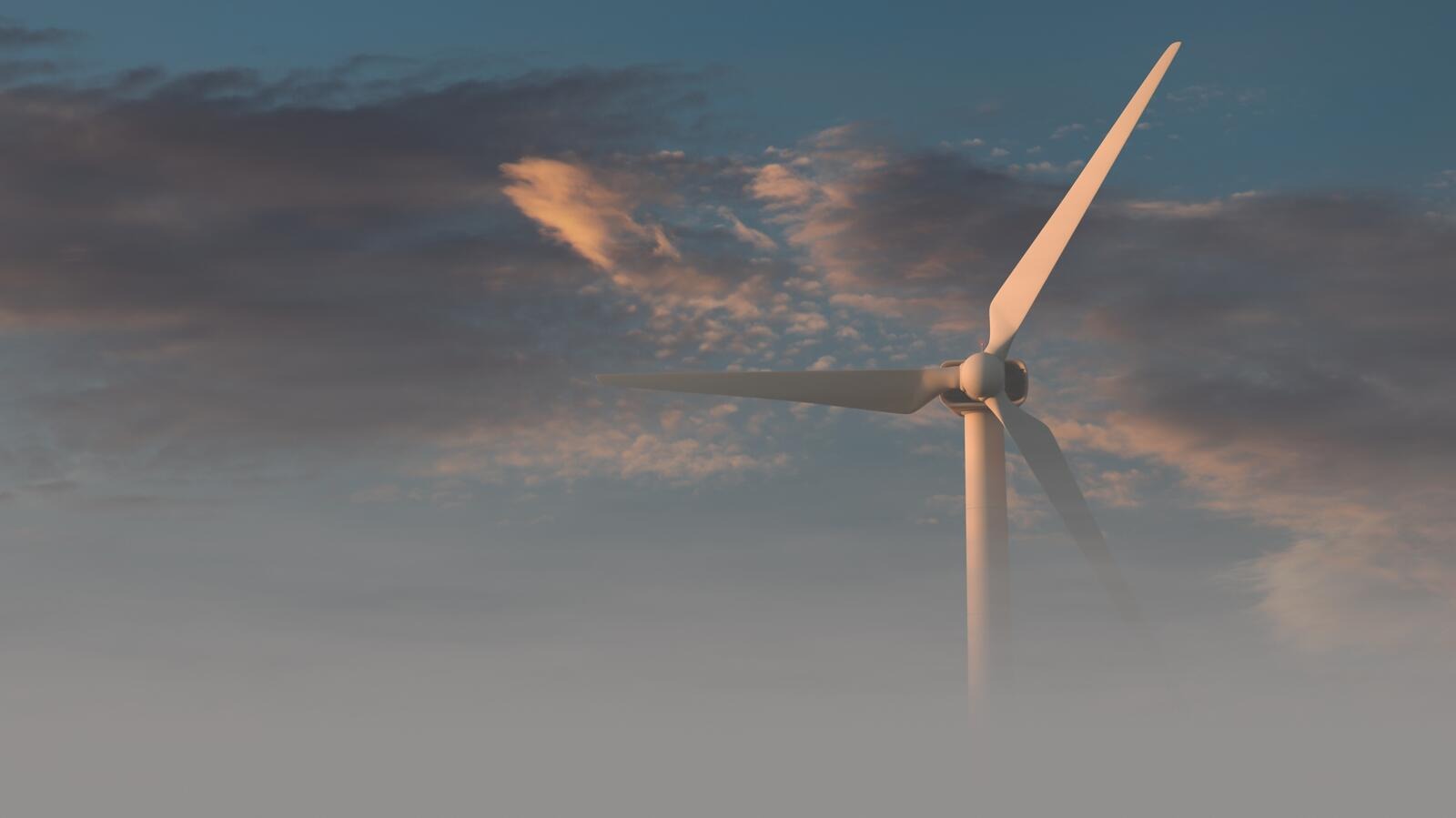 shutterstock_2529330327-505973b5 shutterstock_2529330327-505973b5