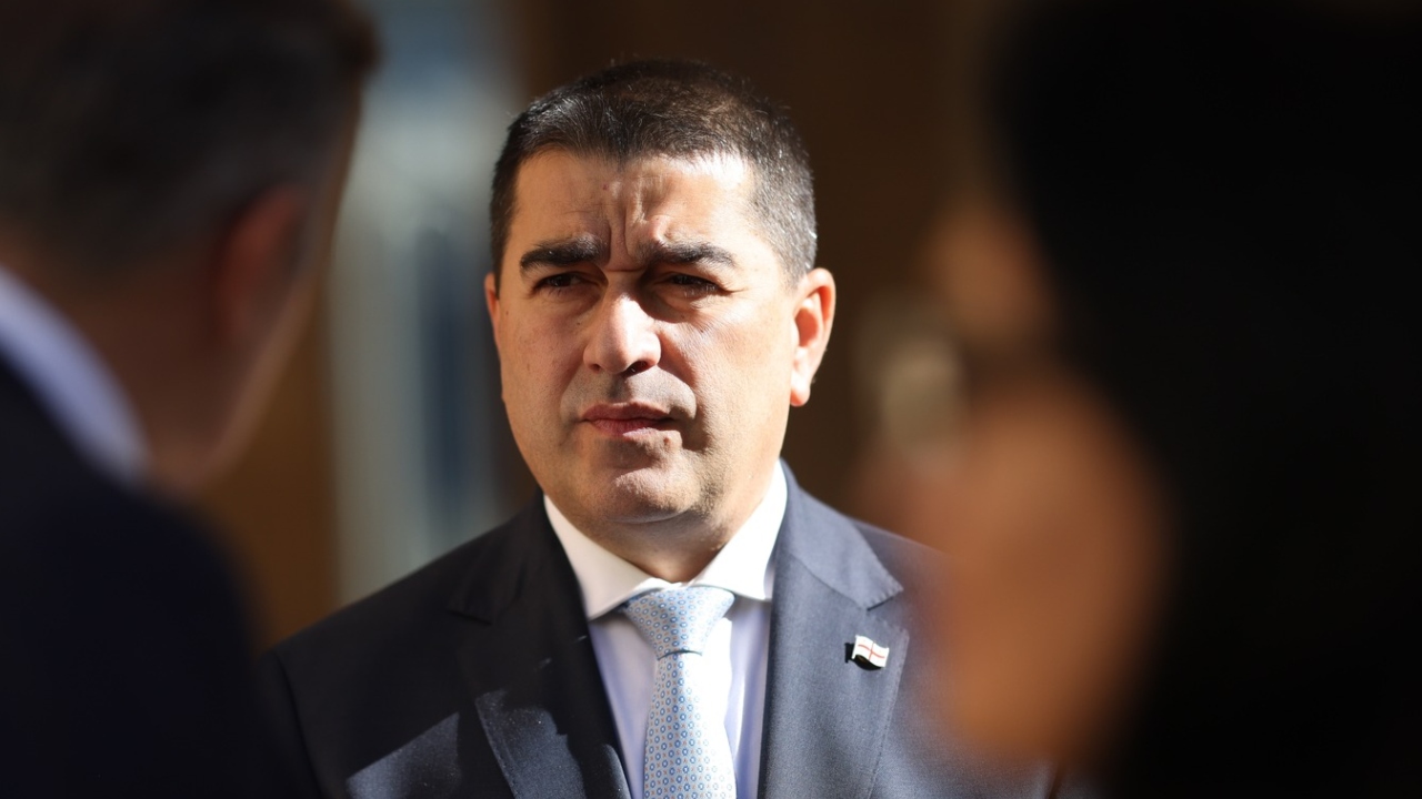 შალვა პაპუაშვილი