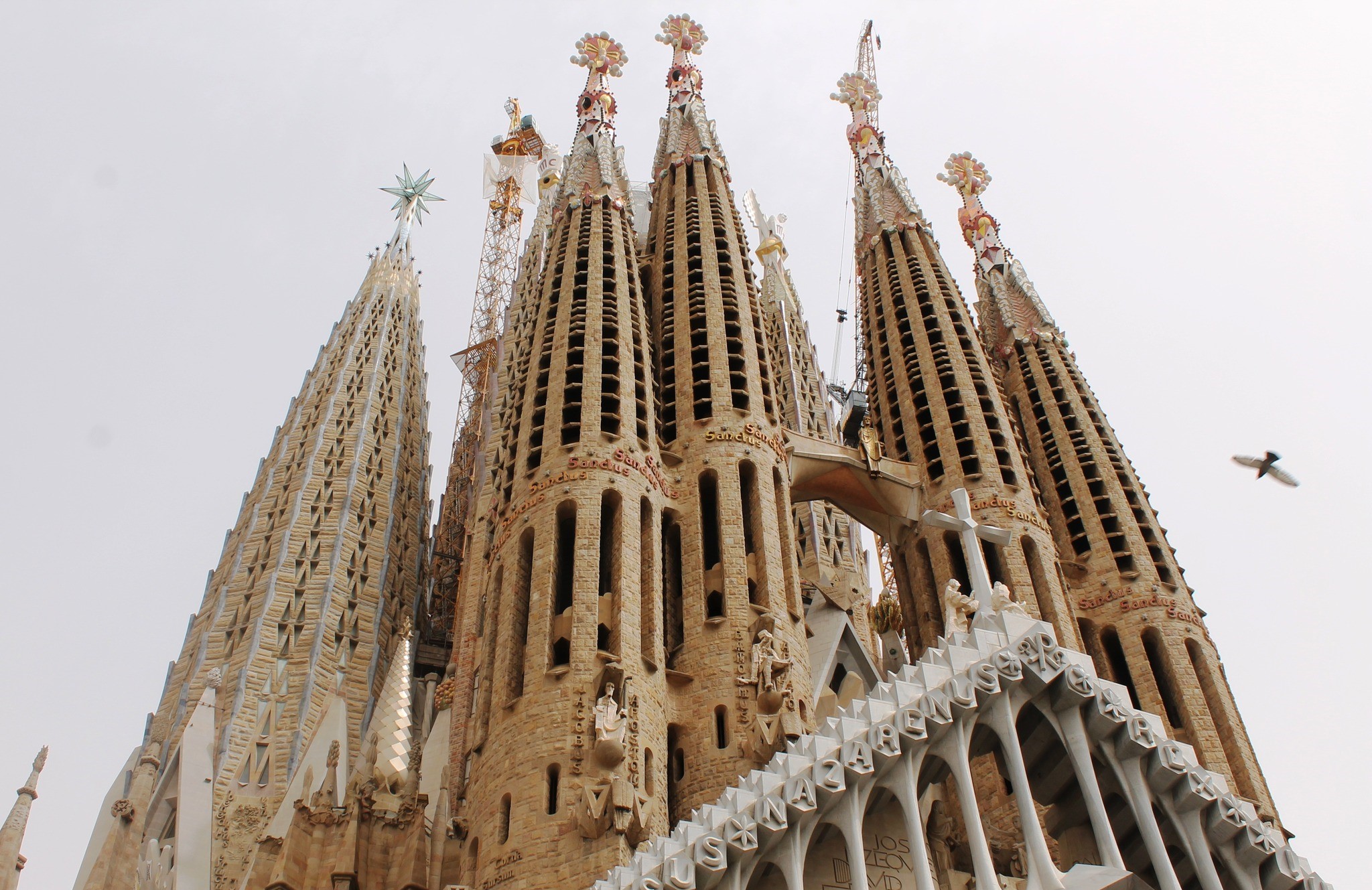 504632503_10232258024968037_3699528323035966705_n