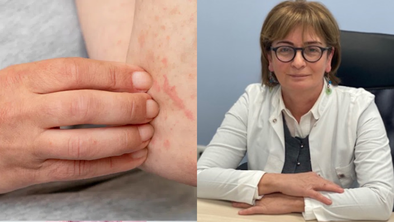 2025-11-05_22-33-19_543728